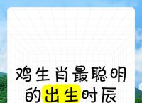 “鸡到天明自报晓”指什么生肖,鸡到天明自报晓是什么生肖打一肖生