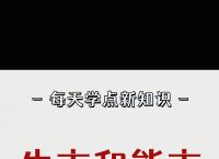 包含2020年币圈是熊市还是牛市的词条
