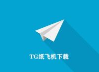 纸飞机中文安装包,纸飞机的中文安装包