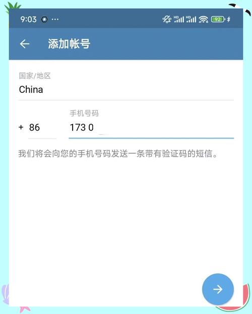 纸飞机怎么设置中文iphone,纸飞机苹果手机版的怎么转换成中文