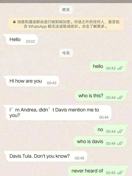 whatsapp和微信的区别,WhatsApp和微信的区别在哪里