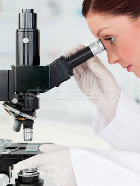 [microscope读音]microscopy怎么读