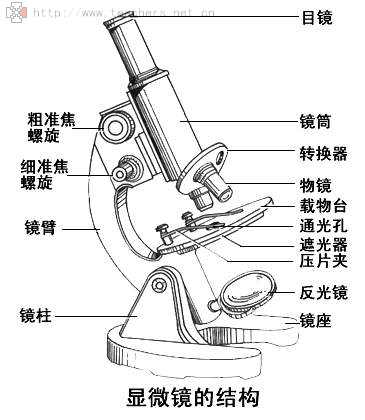 [显微镜是谁发明出来的]显微镜是谁发明的是谁发明的