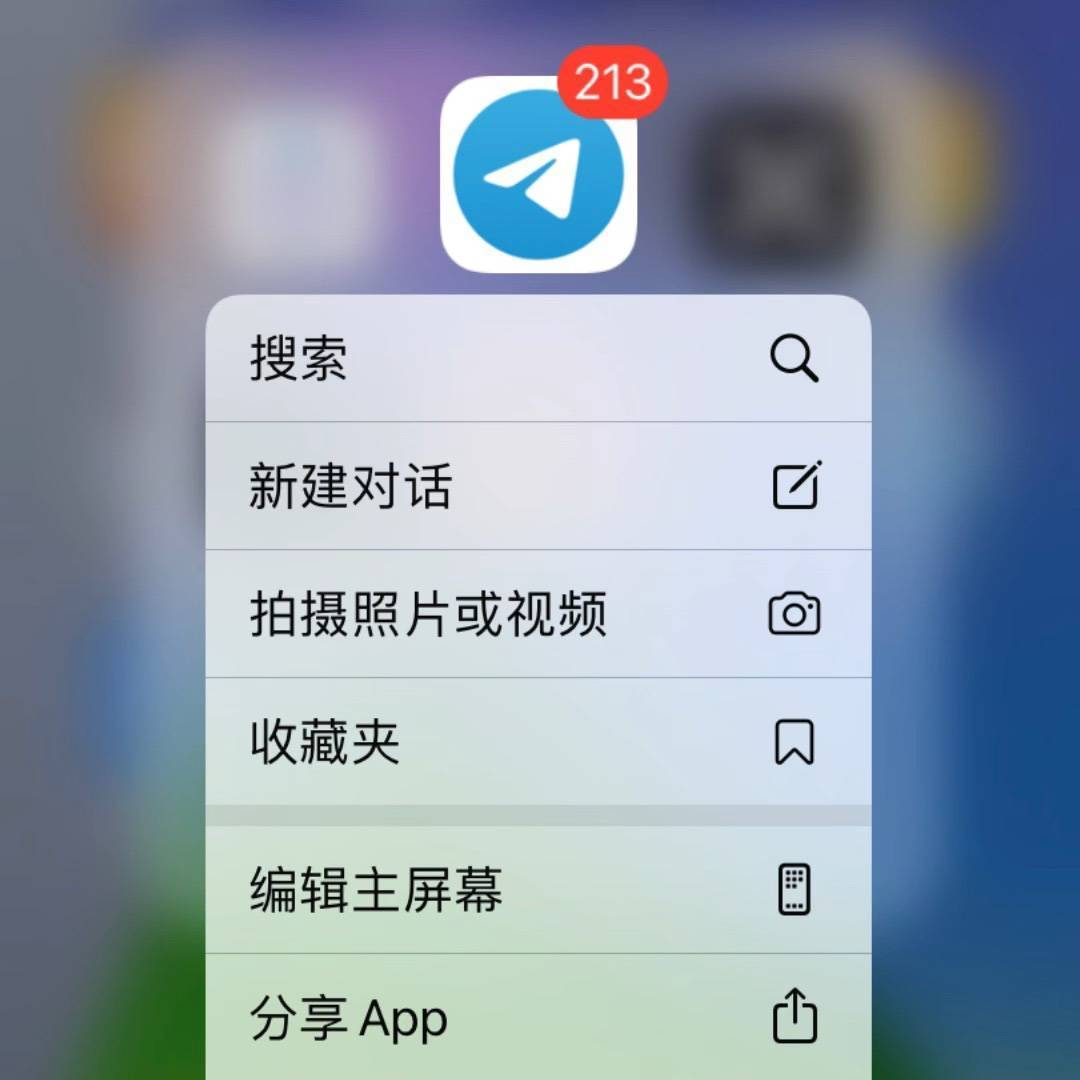 [聊天软件飞机下载中文版]纸飞机app聊天软件下载