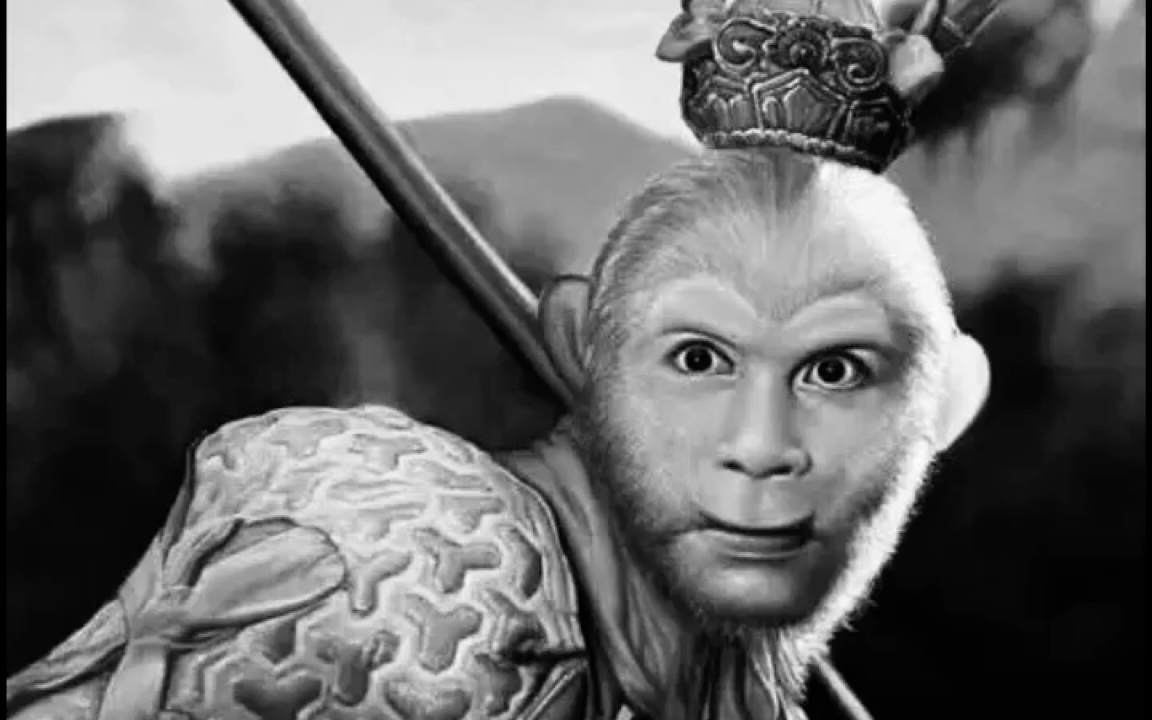 [猴子发电报原视频]猴子被电网电的视频