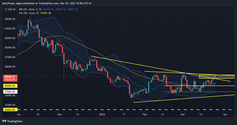 [btc]btc交易所平台