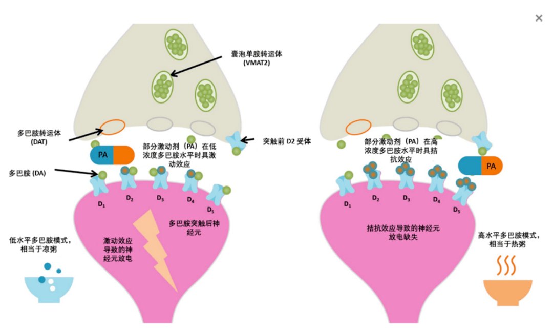 [mechanism意思]mechanisms是什么意思