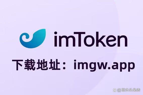 imtoken与tp钱包-imtoken钱包和tp钱包对比