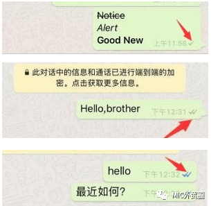 whatsapp跟微信一样吗-whatsapp与wechat对比