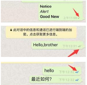 国内怎么用whatsapp-国内怎么用whatsapp软件