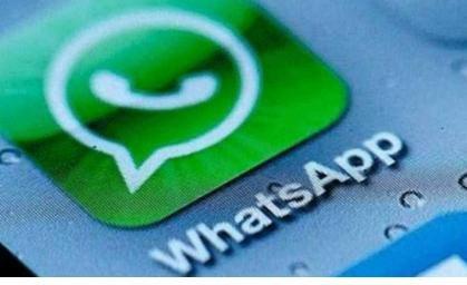 whatsapp中国官网-whatsappbusiness官方网下载