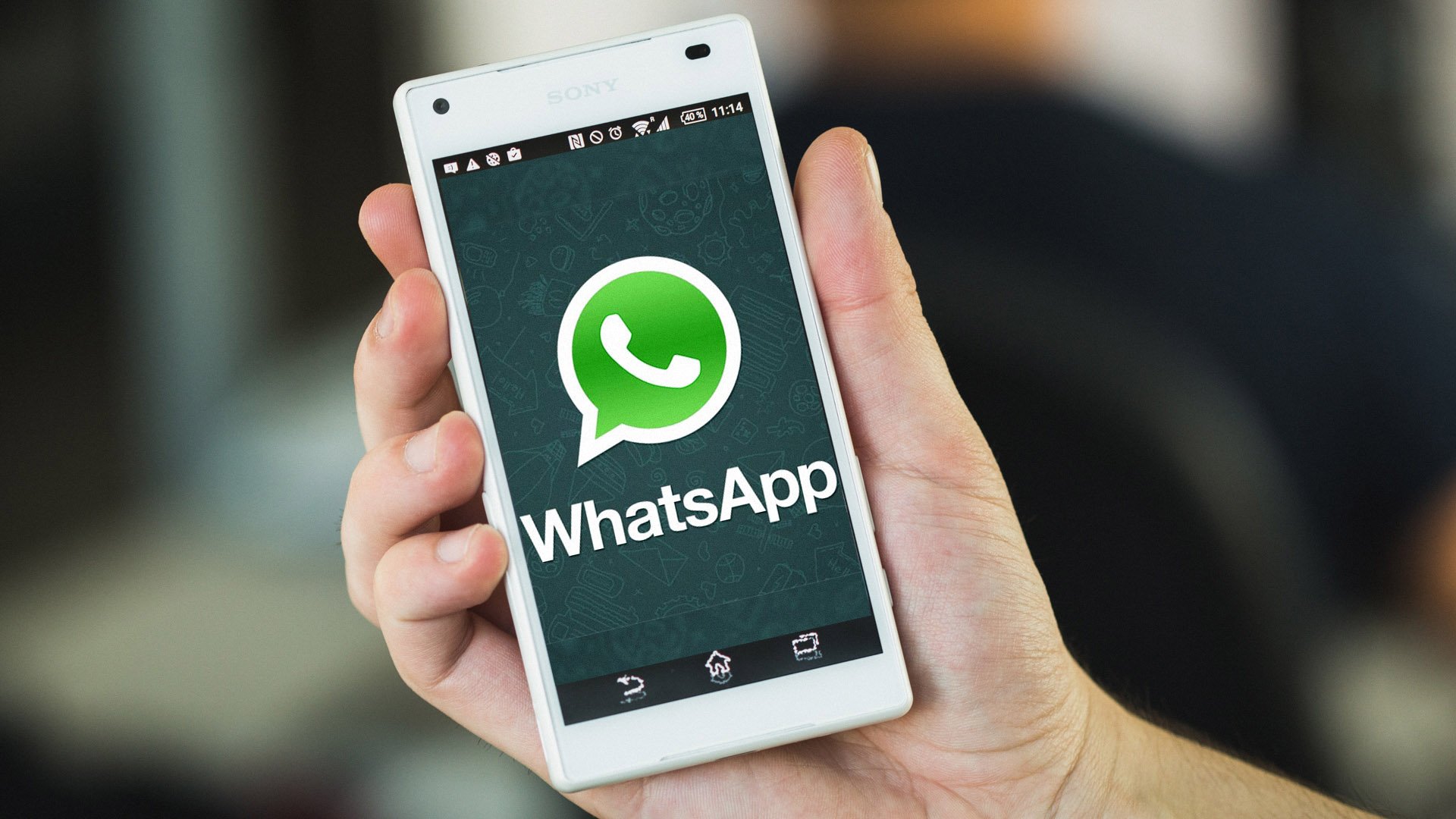 whatsapp停在检索登陆信息-whatsapp输入手机号一直在检索登录信息