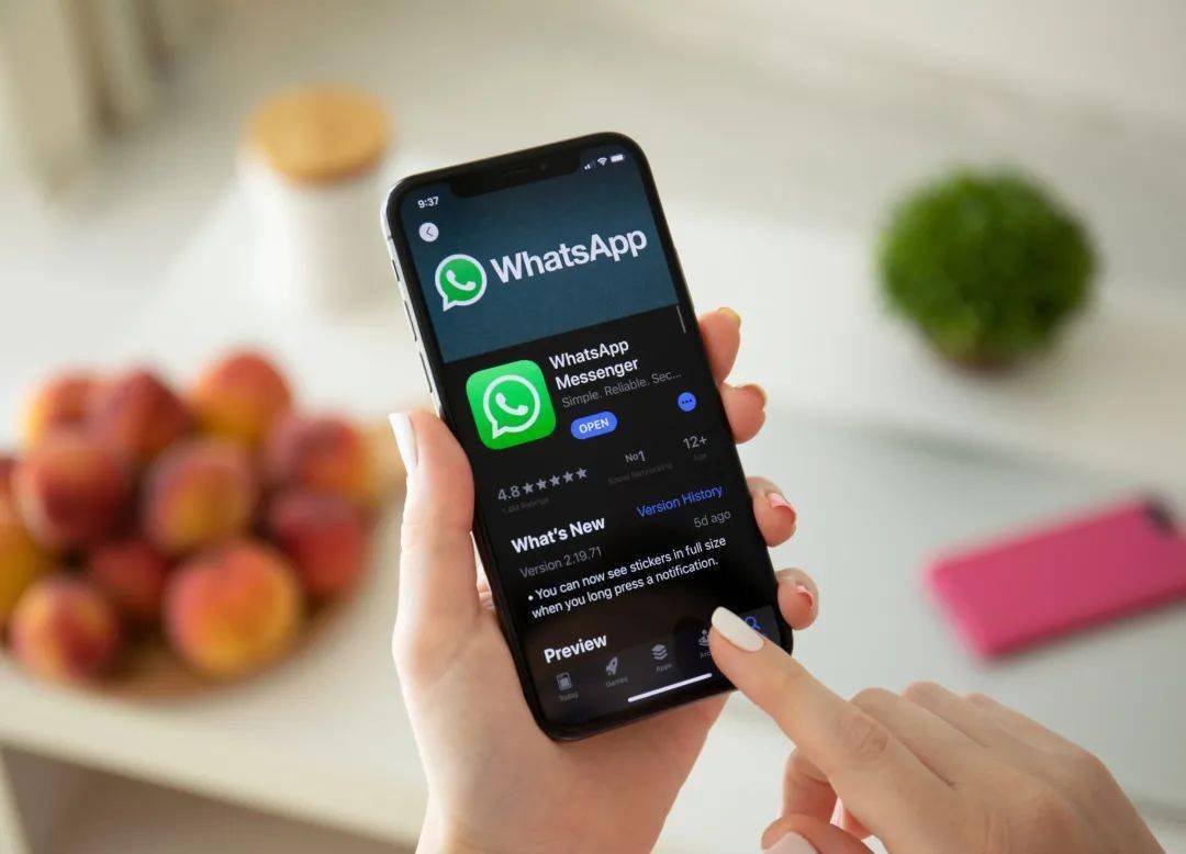 WhatsApp官网-whatsapp官网下载安装最新版本