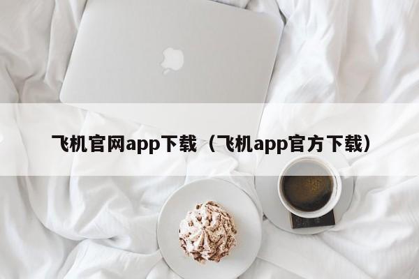 飞机中文版app-飞机中文版下载官网