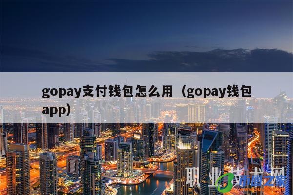 gopay支付平台注册下载-gopay中文版支付平台下载