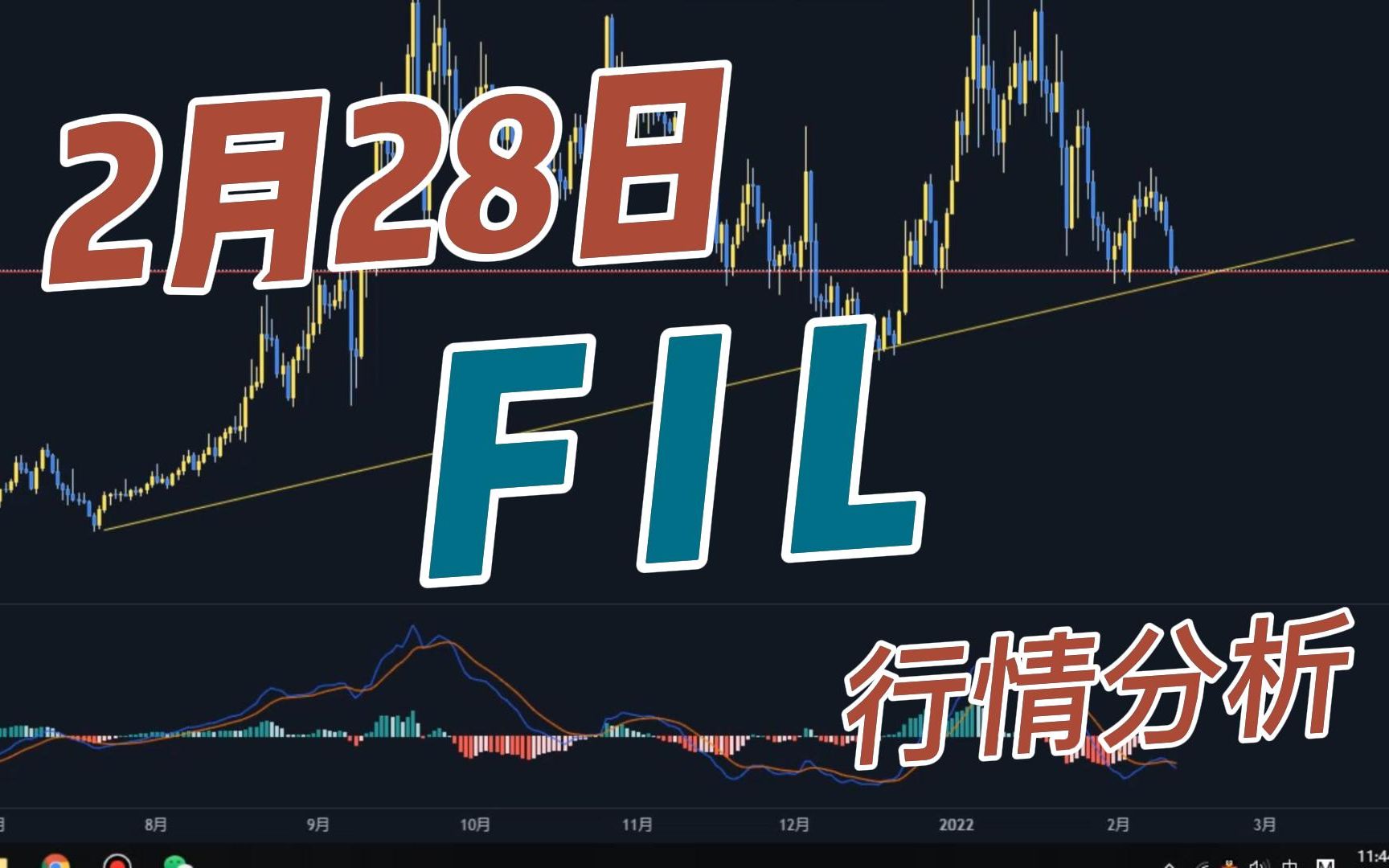 fil今日行情价格-fil今日行情走势分析