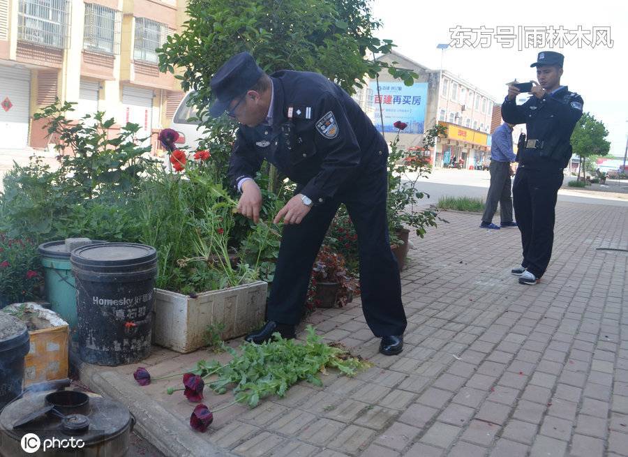 电报员周大爷-电报员周大爷简介