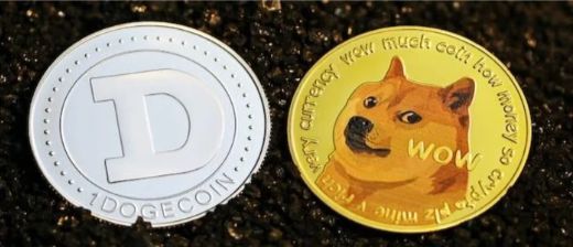 关于狗狗币钱包1.10版本里的币不见了的信息