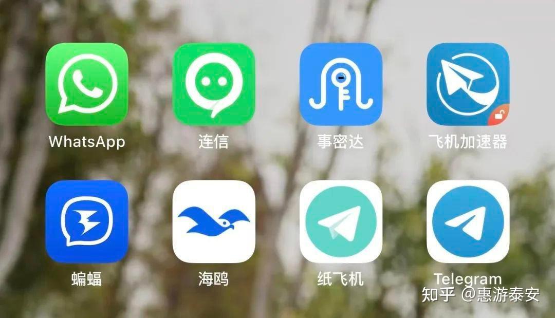 纸飞机app社交软件、纸飞机app怎么翻译成中文