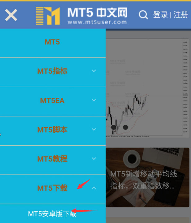 正规mt5下载平台、mt5官网下载安卓手机版