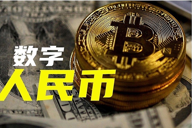 碳中和币、碳中和币资金盘传销