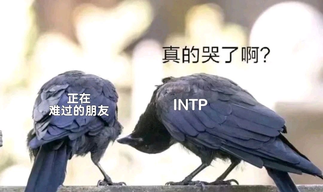 intp官网图片、intp nasa