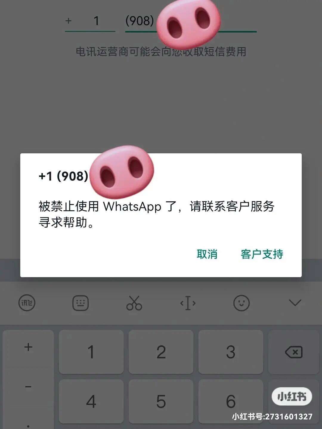 登录whatsapp收不到验证码怎么办，whatsapp 号码收不到验证码怎么登录