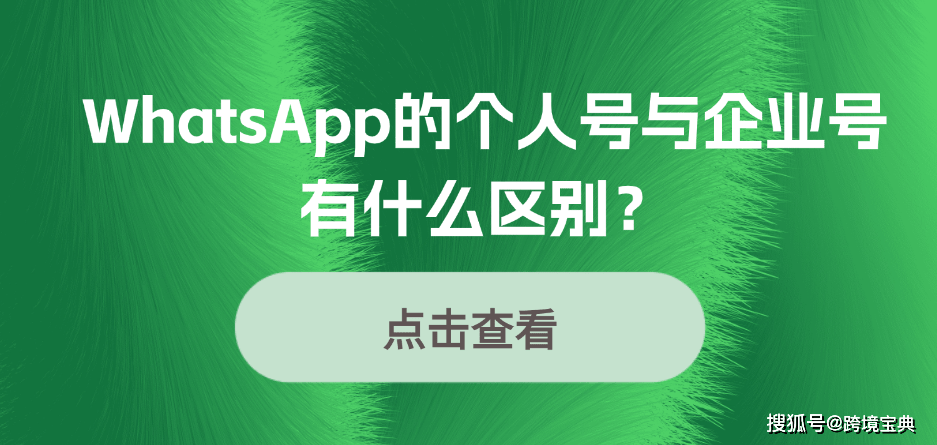 whatsapp怎么加好友安卓手机的简单介绍