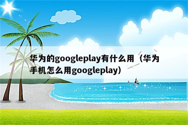 googleplay下载华为版本，google play商店下载华为