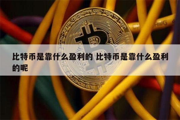 btc属于什么币种的简单介绍