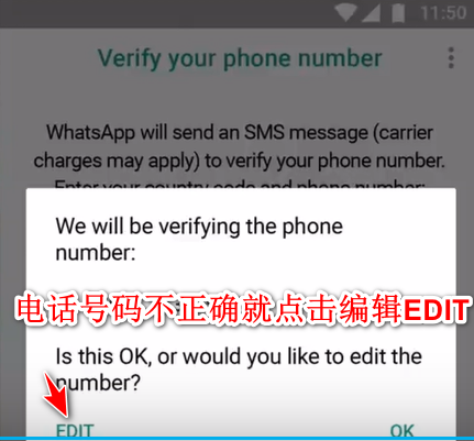 whatsapp国内中文名，whatsapp有没有中文版