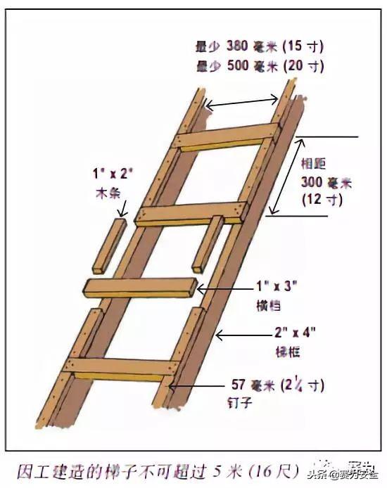 梯子教程网，梯子软件怎么用