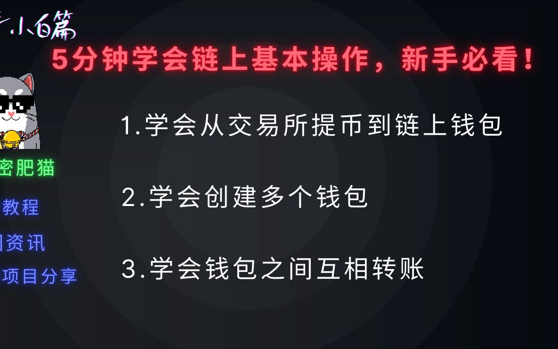 中本聪小狐狸钱包教程，中本聪btcs钱包绑定教程