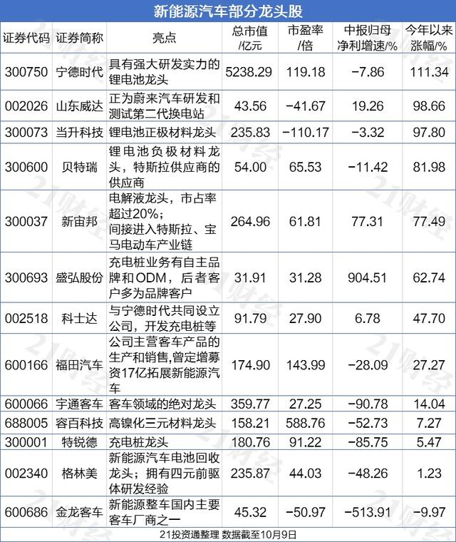 数字人民币的股票龙头有哪些，数字人民币的股票龙头有哪些公司