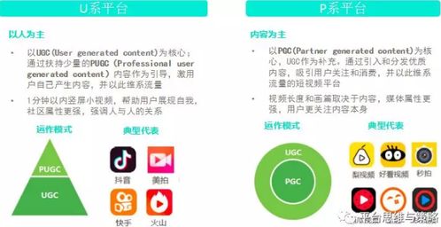 tp钱包官网网站，最新tp钱包官网下载