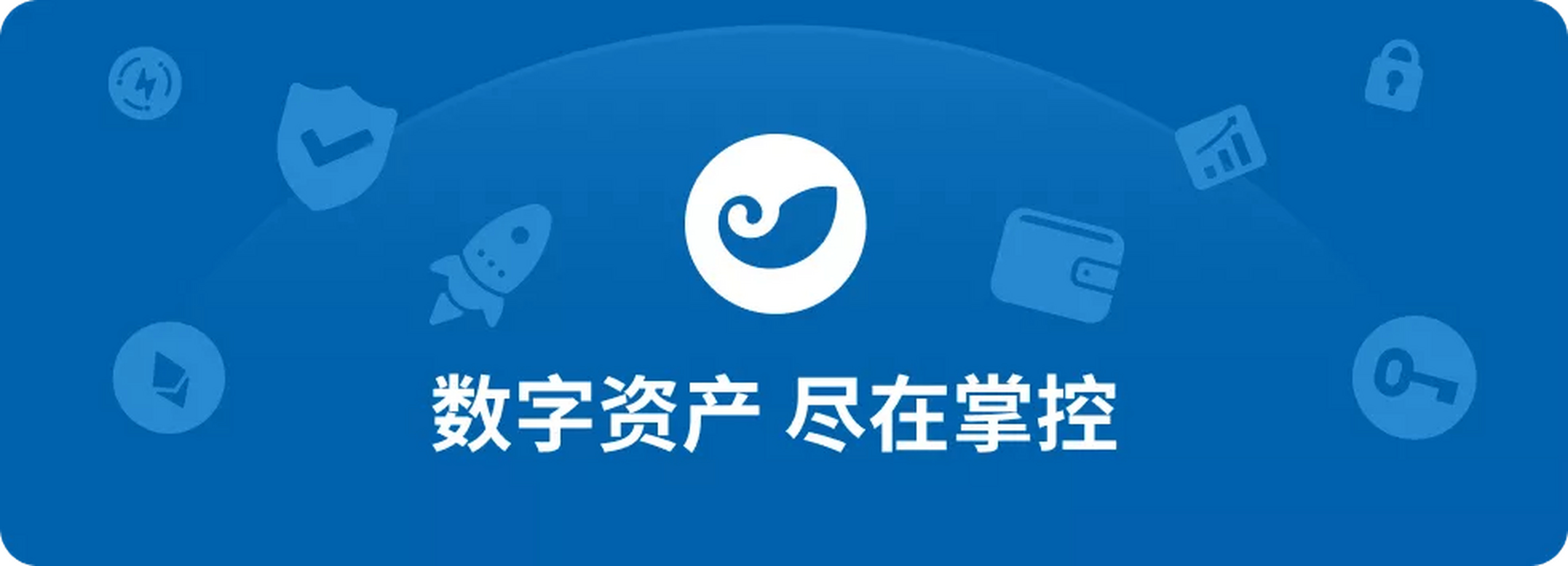 Pi的钱包下载旧版，pi钱包下载官方app