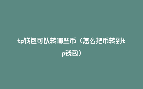 把币放在tp钱包安全吗，tp钱包怎么提现换成人民币