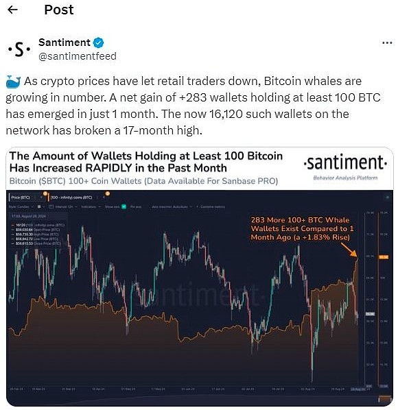 31个btc忘记密码钱包dat的简单介绍