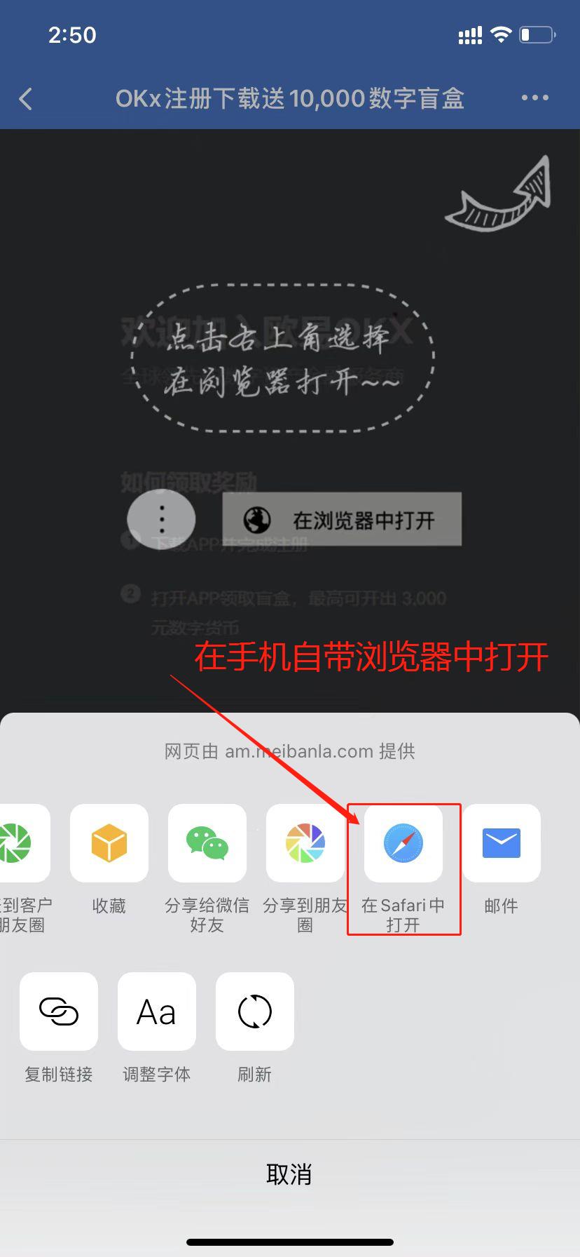 波币钱包app被拉黑怎么办，波币账号永久冻结里面钱怎么办