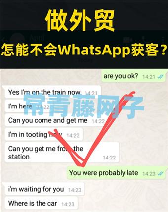 whatsapp注册账号，whatsapp注册手机号