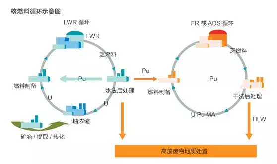 北极星vp加速器，三叶草pvn加速器