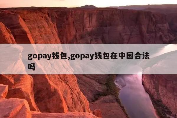 gopay支付平台官网，gopay支付平台是做什么的