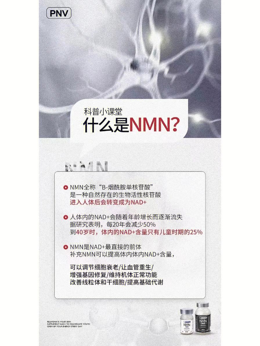 梯子PNV，梯子vqn官网