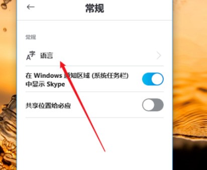 skype上不去，skype上不去了,找不到网友怎么办