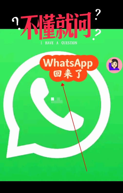 whatsapp官方网站最新版正版免费下载，whatsapp官方网下载安卓2020手机版