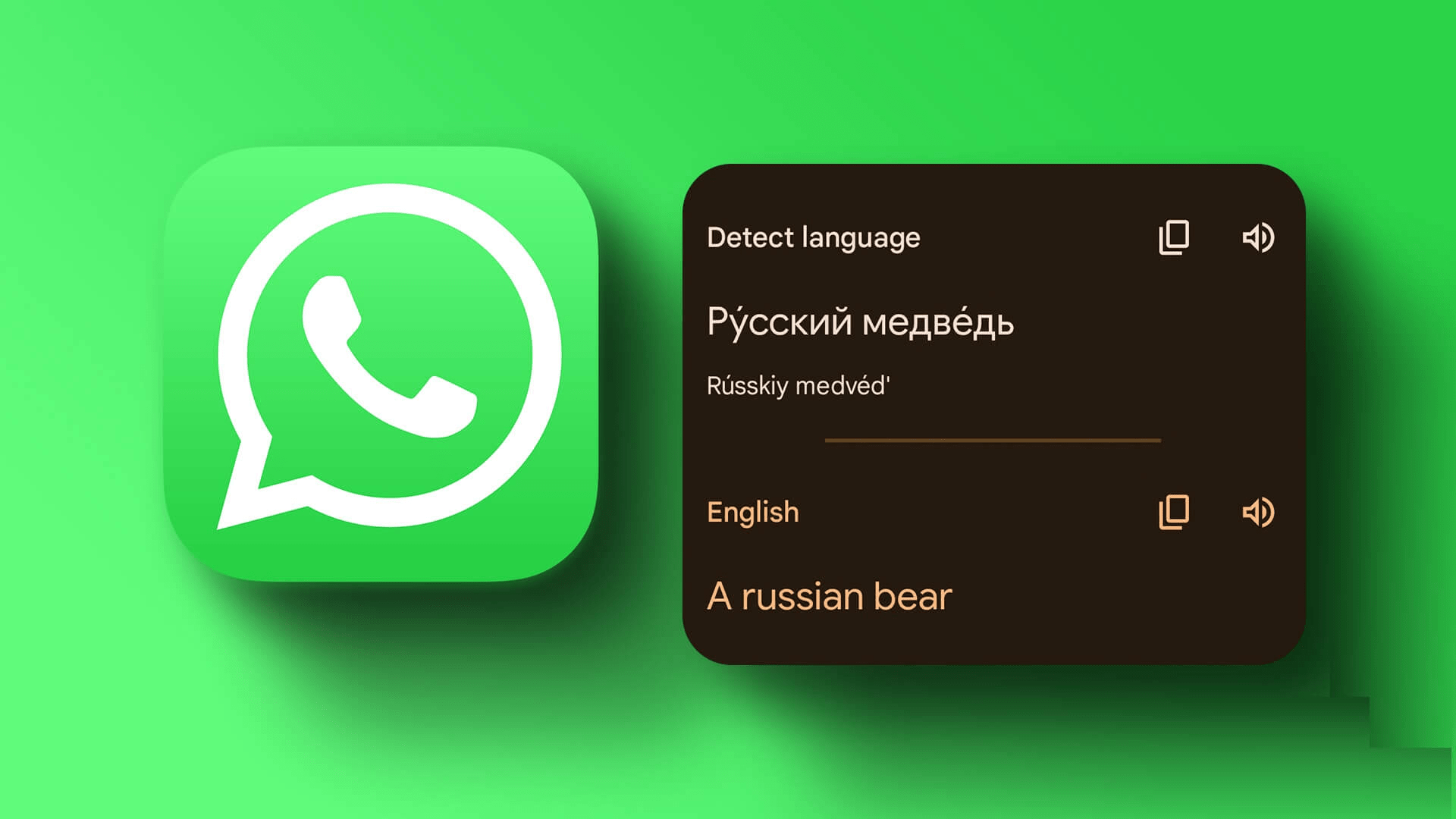 whatsapp怎么中英文互译，whatsapp如何英文换成中文