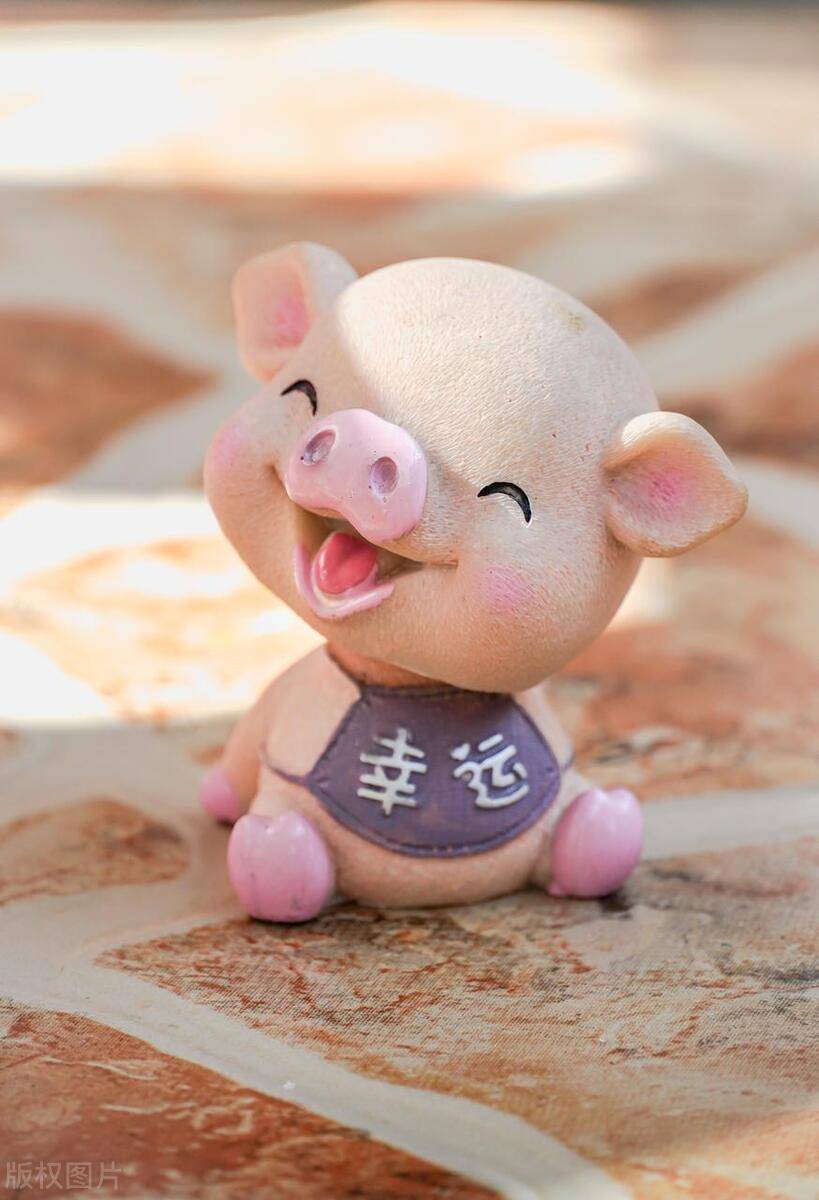 今期六字出玄机缠大猪打一生肖:今期六字出玄机,特数出此不为奇是什么生肖