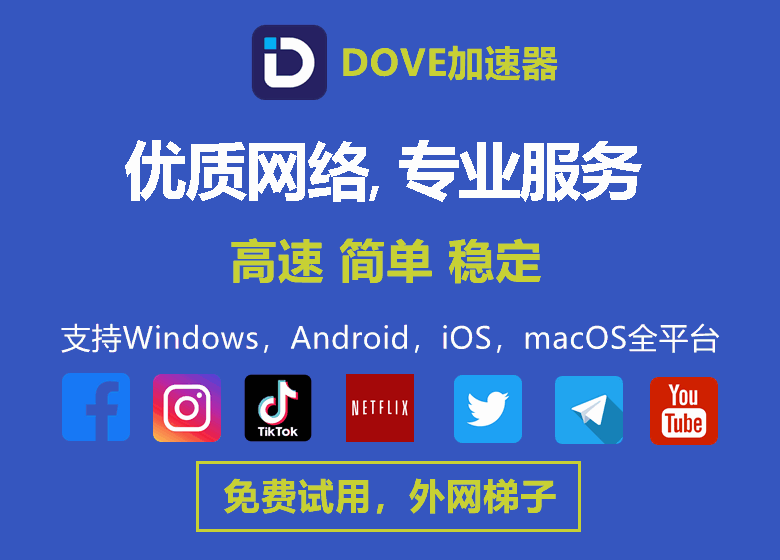 梯子指的是什么软件:梯子到底是啥东西网络