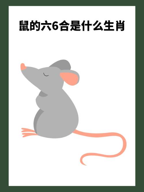 6合是什么数字和生肖:6合是什么数字和生肖有关