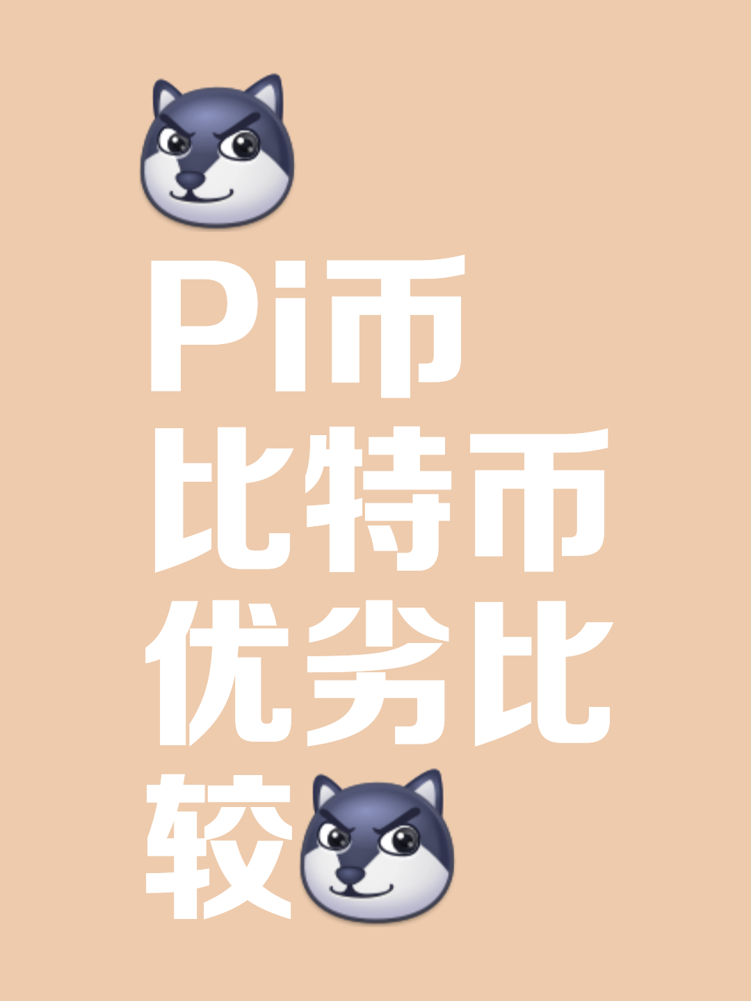 pi币是骗局吗:pi币是骗局吗2024年最新消息